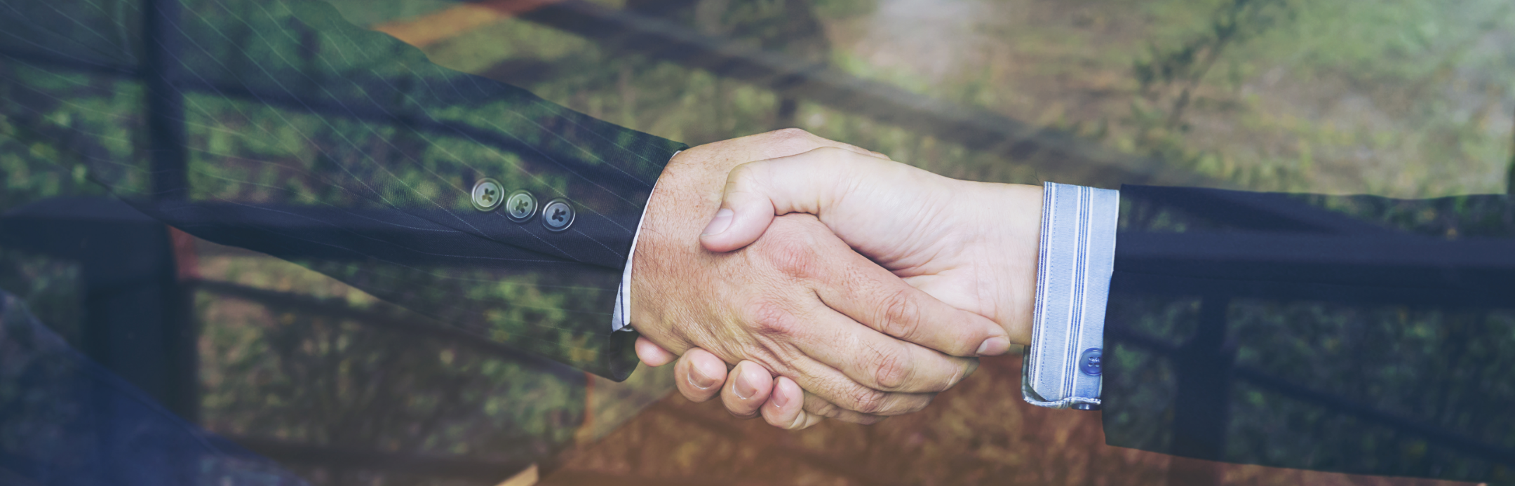 Công bố thông tin